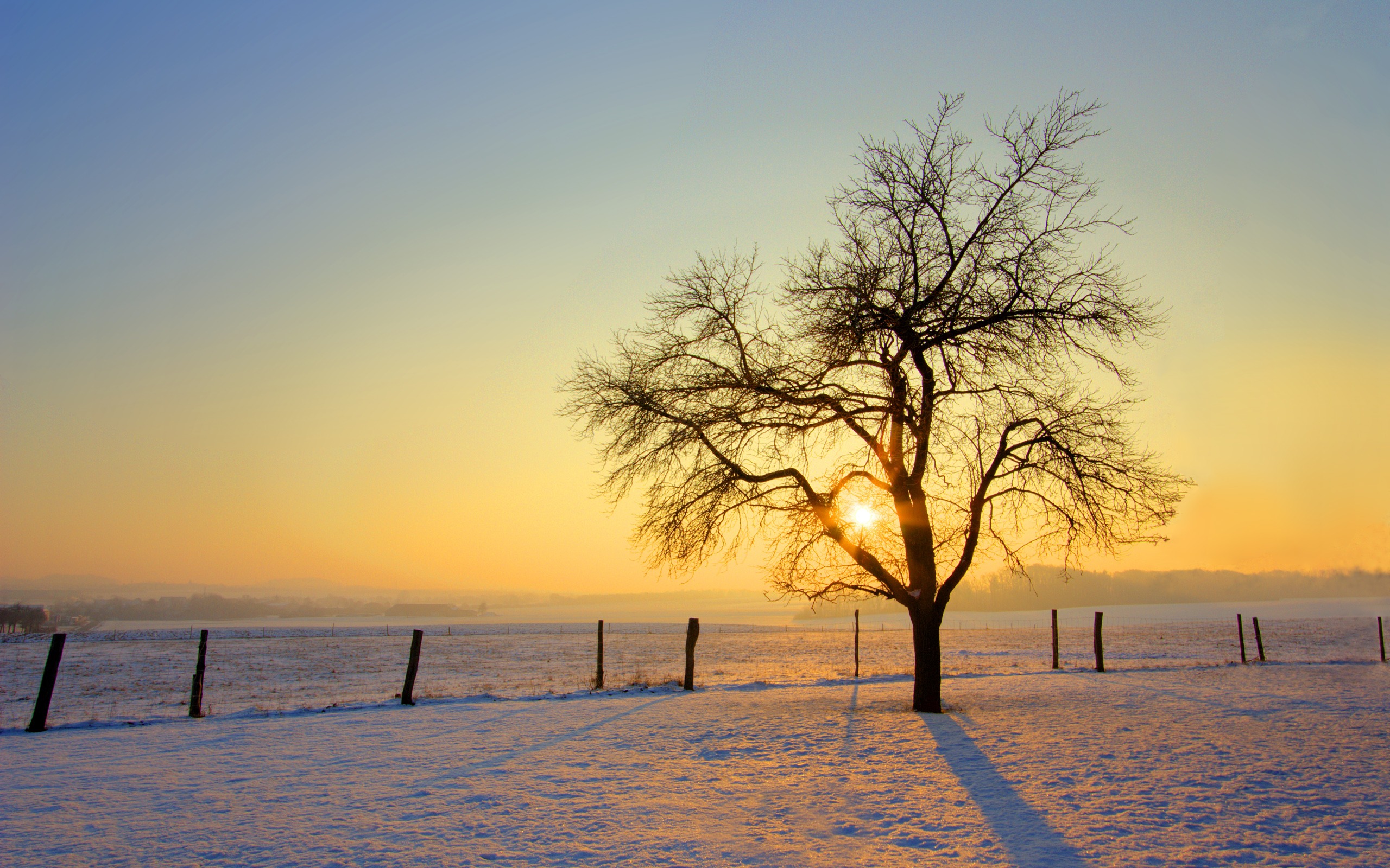 image of sun rising over a snow covered field